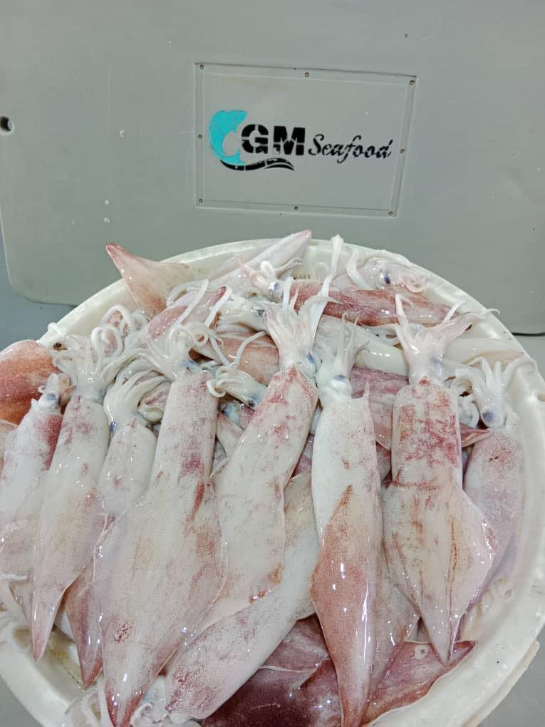 GM SEAFOOD WHOLESALE SUPPLY