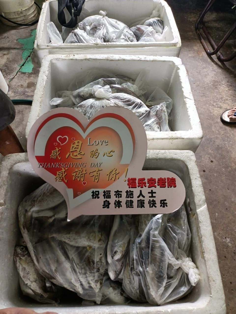 GM SEAFOOD WHOLESALE SUPPLY
