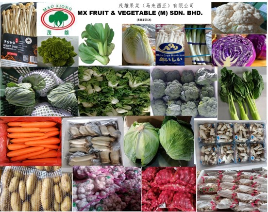 MX FRUIT & VEGETABLE (MALAYSIA) SDN. BHD.