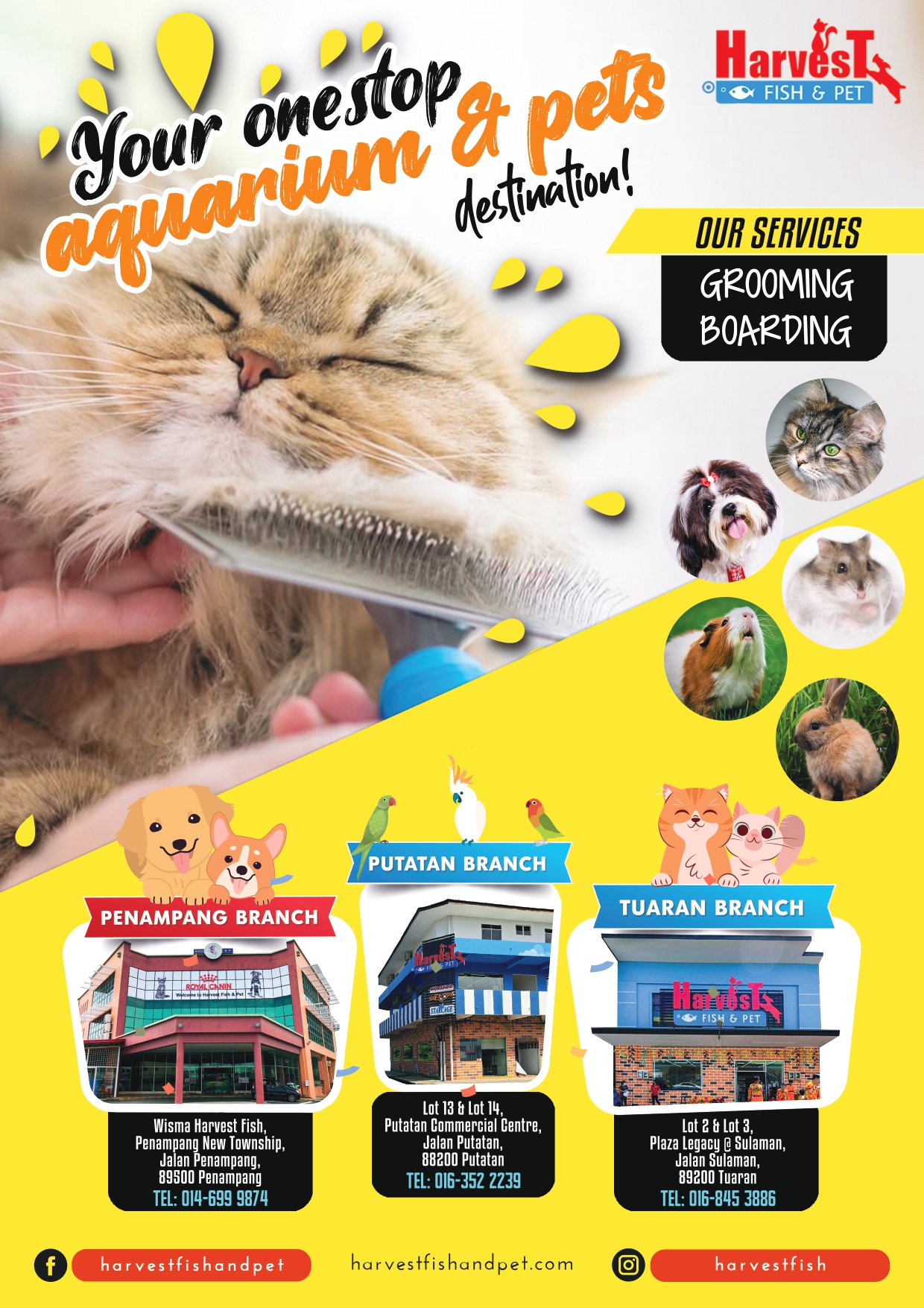 Harvest fish & deals pet sdn bhd