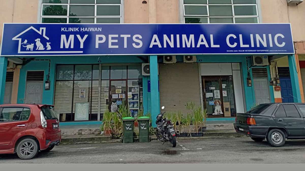 MY PETS ANIMAL CLINIC
