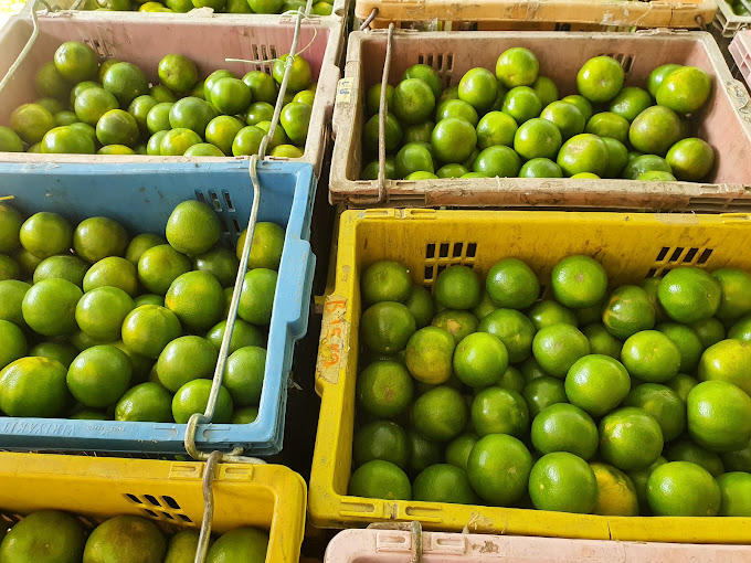 TONG HENG FRUIT SDN. BHD.