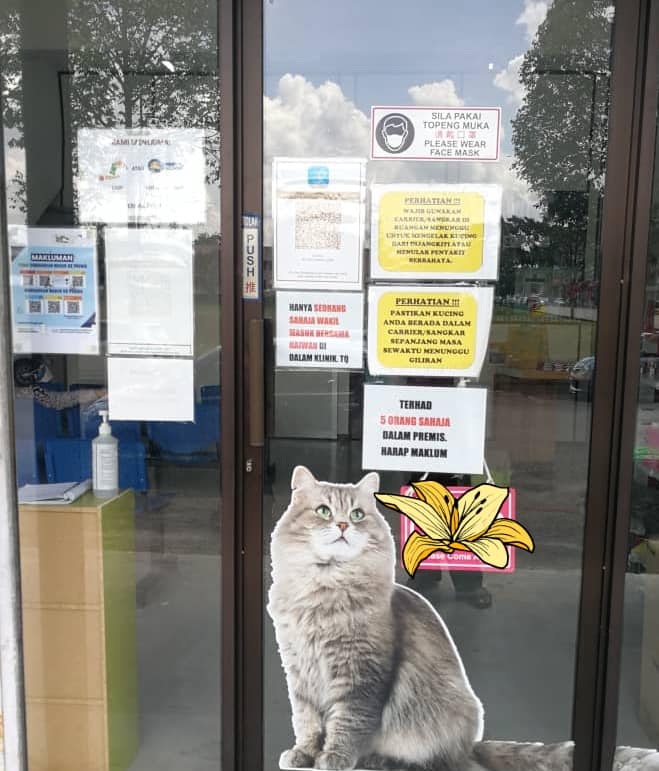 MY PETS ANIMAL CLINIC