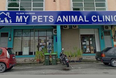 MY PETS ANIMAL CLINIC