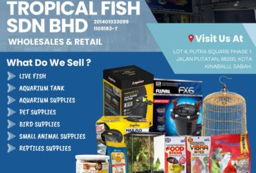 CHANG AQUARIUM TROPICAL FISH SDN. BHD.