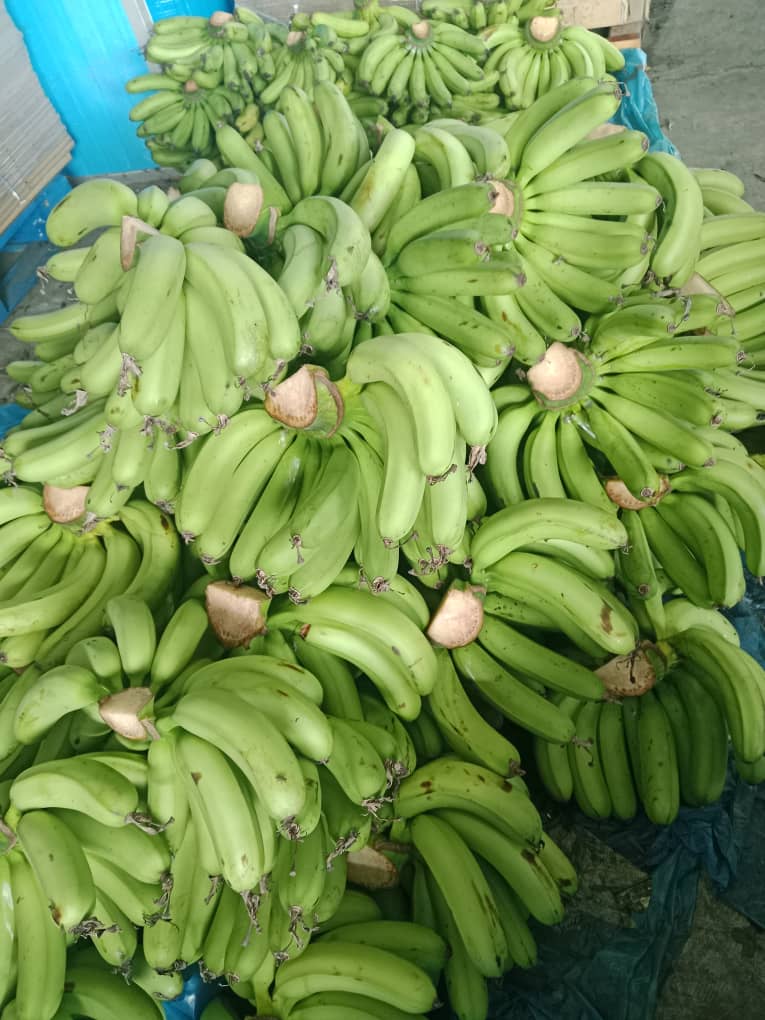 MYTROPICAL FRUITS SDN. BHD.