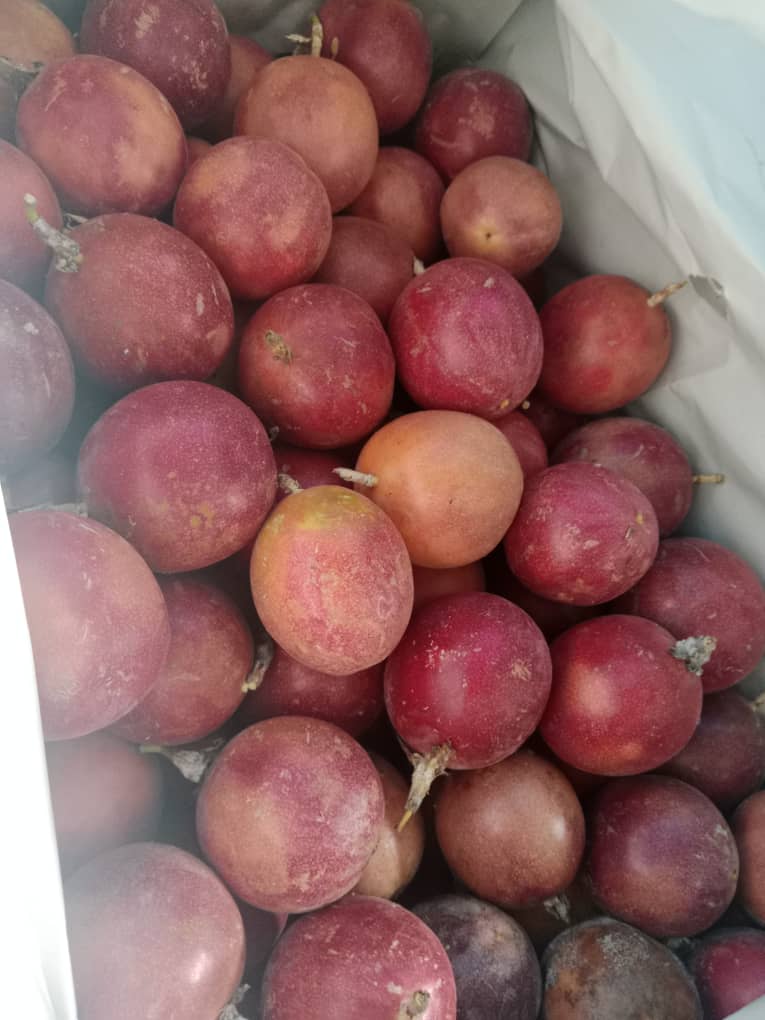 MYTROPICAL FRUITS SDN. BHD.