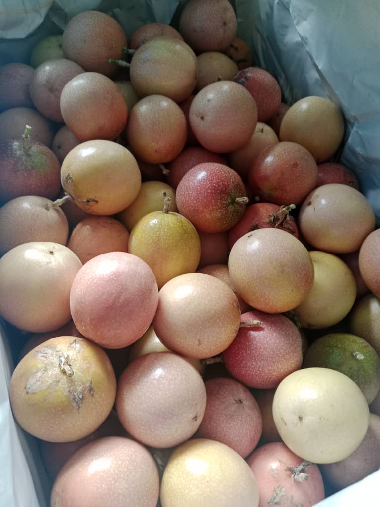 MYTROPICAL FRUITS SDN. BHD.