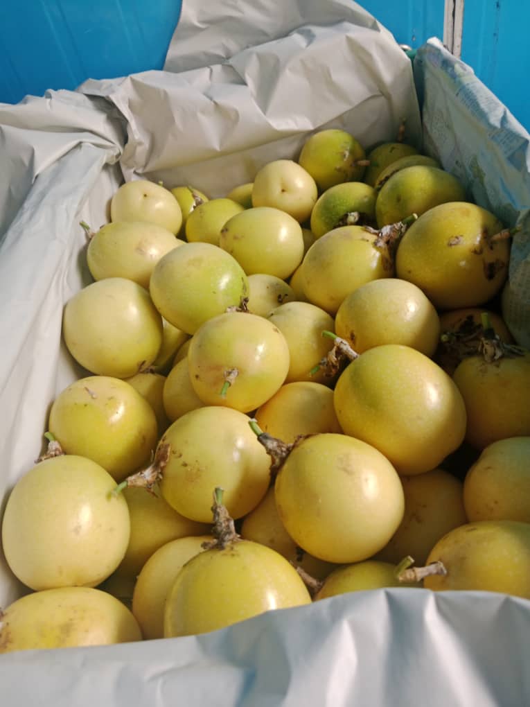 MYTROPICAL FRUITS SDN. BHD.