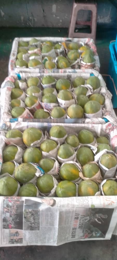 MYTROPICAL FRUITS SDN. BHD.