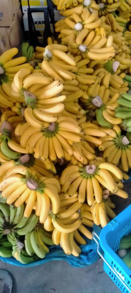 MYTROPICAL FRUITS SDN. BHD.