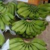 MYTROPICAL FRUITS SDN. BHD.