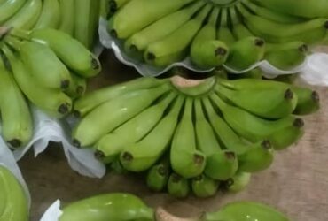 MYTROPICAL FRUITS SDN. BHD.