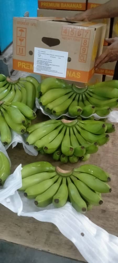 MYTROPICAL FRUITS SDN. BHD.